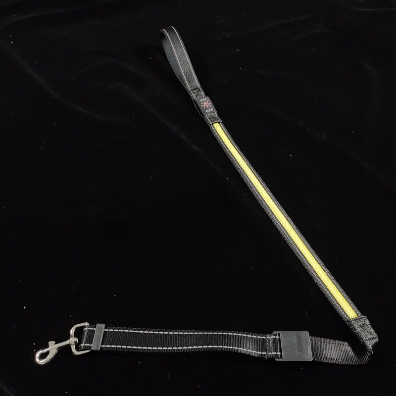 Unleash the Fun with the USB Charging Telescopic and Portable Pet Collar Suit